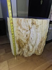 Large Petrified Wood Log Section Fossil Display Piece, Approx 18 in Diameter picture