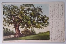 Connecticut Postcard 1906 Original Rare Hartford Charter Oak Tree Franklin Stamp picture