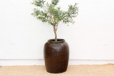 Oversized Asian Rich Brown Stoneware Vessel Floor Vase Decor picture