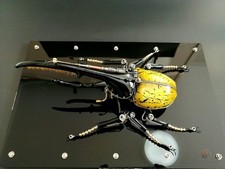 Steampunk Hercules Beetle Life Cycle Metal Model, Handcrafted Insect Art Statue picture