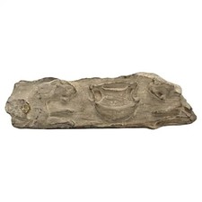 A Rare Second Temple Period Limestone Table Fragment, Jerusalem, 1st Century BCE picture