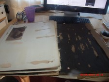 Amazing orig antique scrapbook album of composer Constantine Von Sternberg.His picture