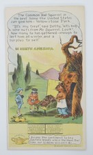 1920's D27 Dottie, Bob & Trix The Common Red Squirrel - In North America picture