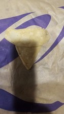 Taco Bell Tesla Chip picture