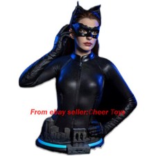 Authorized By Infinity Studios Catwoman Resin Model Selena 1/1 Bust Pre-Order picture