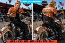 Rare Front And Rear Large Embroidery Sleeve Model Hard To Get Extreme Harley Dav picture