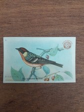 Arm and Hammer Birds Series Victorian Tradeing Cards x300 ~ nice condition picture
