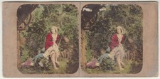 Original 1850s h/c stereoview Dorothea, genre study by Goodman picture