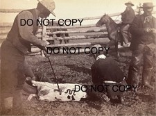 Cowboy Cabinet Card Photos 1880s L A Huffman originals Miles City Montana Rare picture