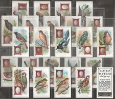 FILSHILL-FULL SET- BIRDS AND THEIR EGGS 1924 (24 CARDS) ALL SCANNED picture