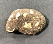 ONE OF A KIND Very unique rock with naturally occurring letters and numbers. picture