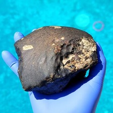 Meteorite**NWA Unc.; Flight Oriented Individual**1,459.0 grams, Highest Quality picture