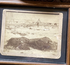 Original 1890 photo at Wounded Knee taken by Northwestern Photo Co., Chadron Neb picture