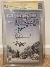 The Walking Dead comic lot set Last Price Drop picture