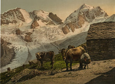 Evening on the Alp. - Evening in the Alps. Vintage Photochromic PZ, Photochromic picture