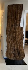 Extremely RARE Huge Petrified Wood Log 8ft On Rebar Art Piece picture