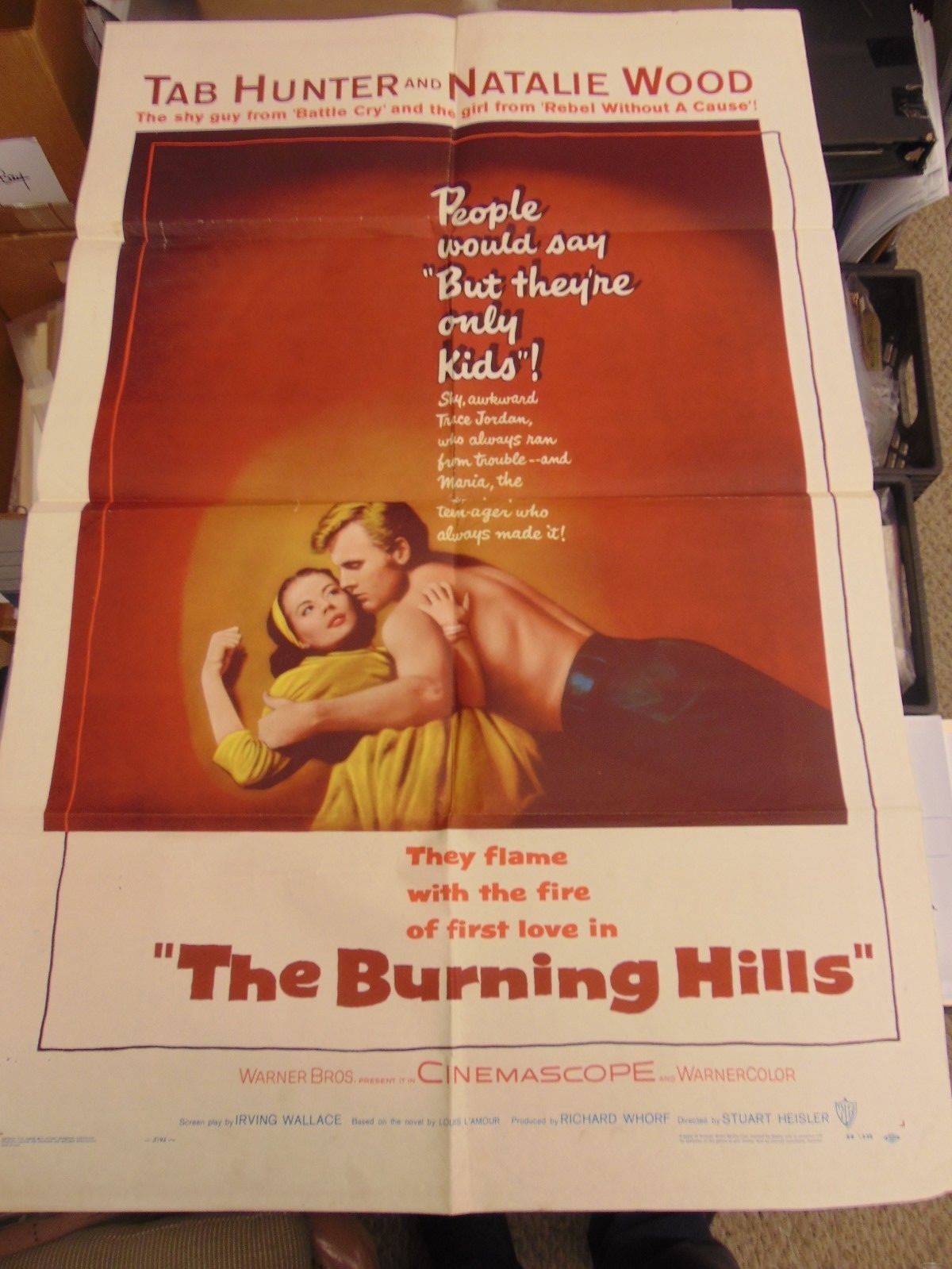 Natalie Wood Tab Hunter The Burning Hills 1956 1-Sheet Movie Poster N2509 Natalie Wood Tab Hunter The Burning Hills 1956 1-Sheet Movie Poster N2509
