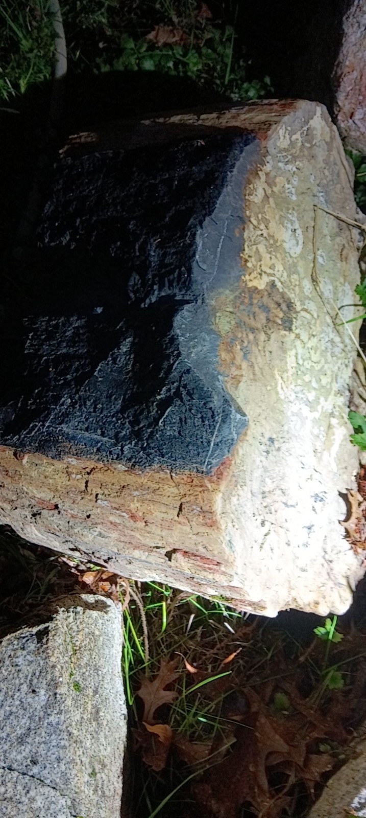 petrified wood its a boulder id say 2 ft by 2 1/2 ft not sure the weight