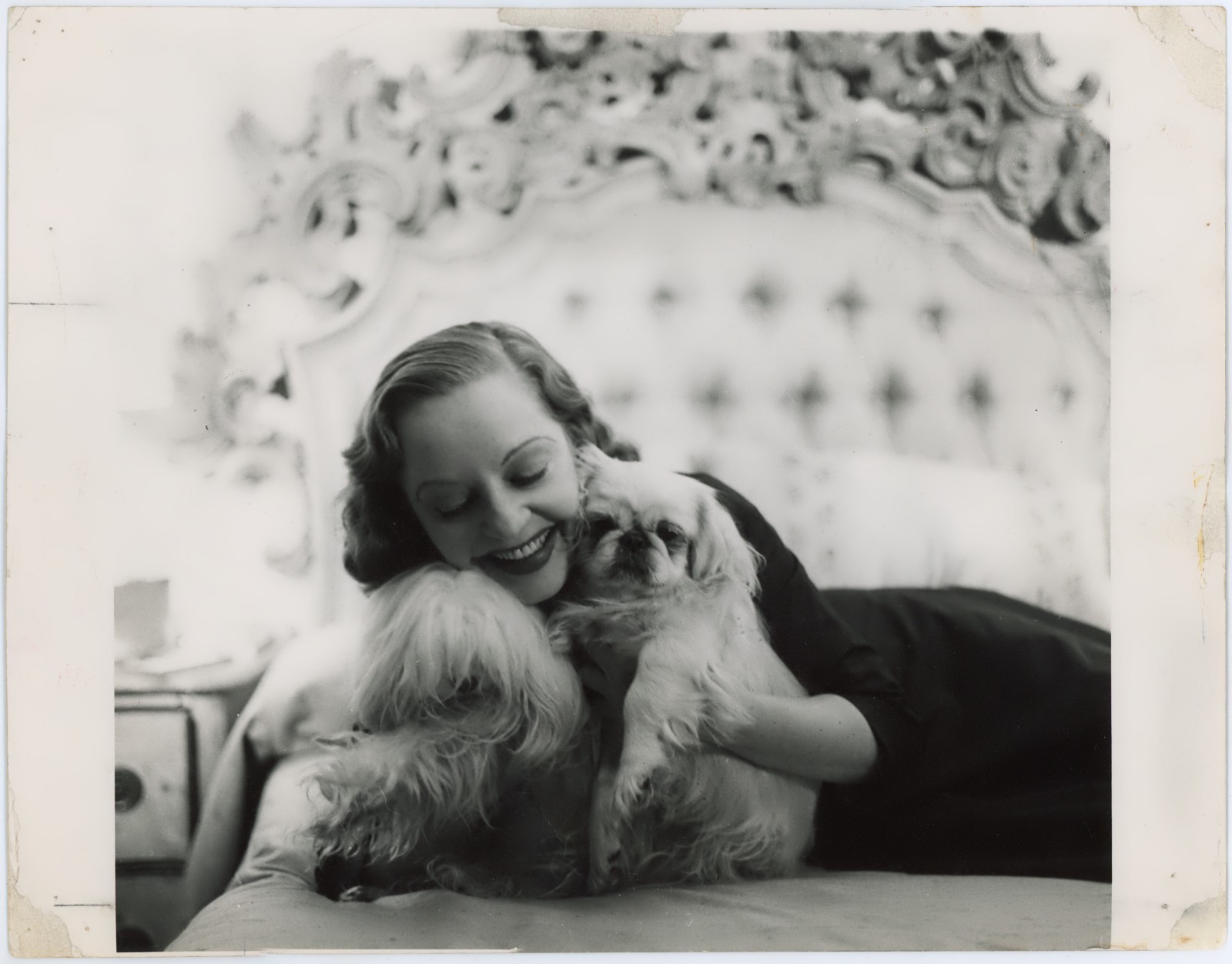 Tallulah Bankhead Actress Pekingese Otto Fenn Studio Vintage Press Photo NYC