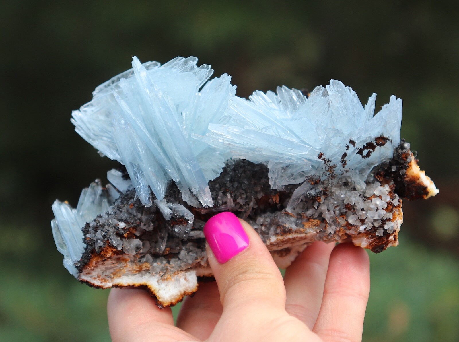 Blue Barite Blades On Matrix - Morocco Cabinet Size 12.7 Cm's Blue Barite Blades On Matrix - Morocco Cabinet Size 12.7 Cm's
