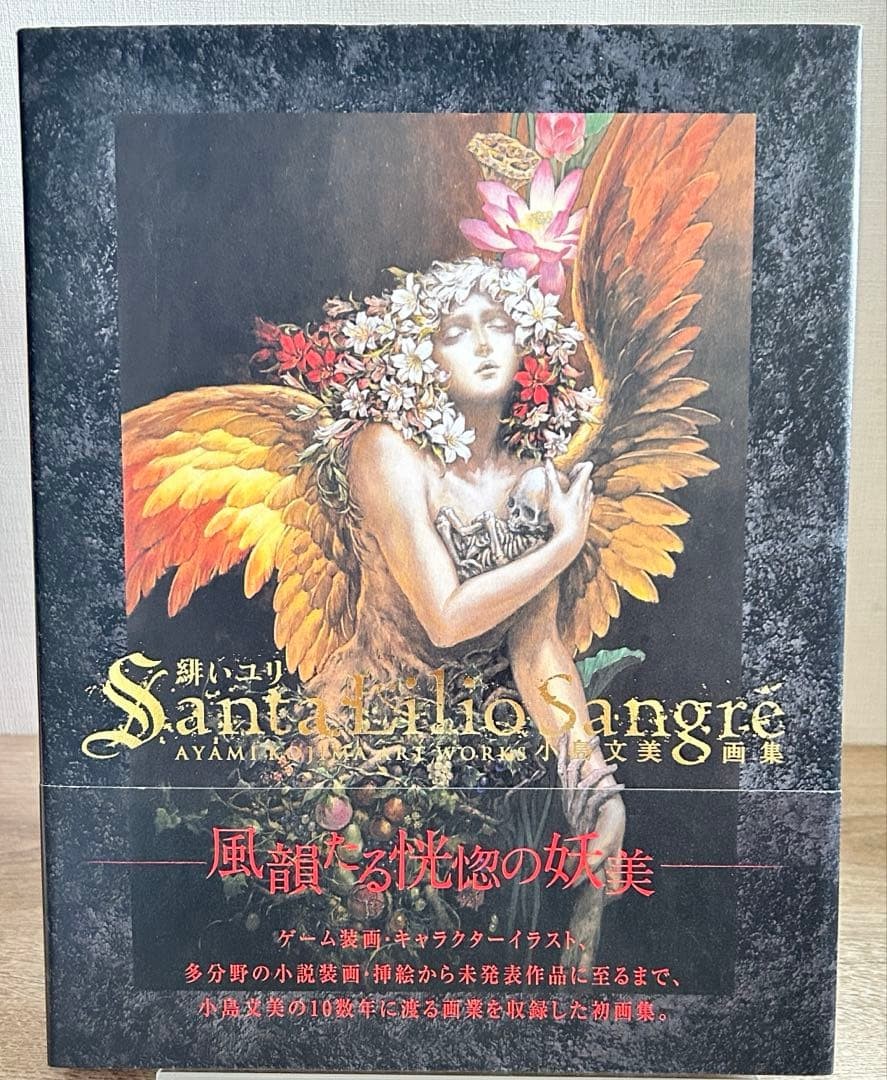 Santa Lilio Sangre Hard cover Art Book 2010 Kojima Ayami Akai Yuri Used