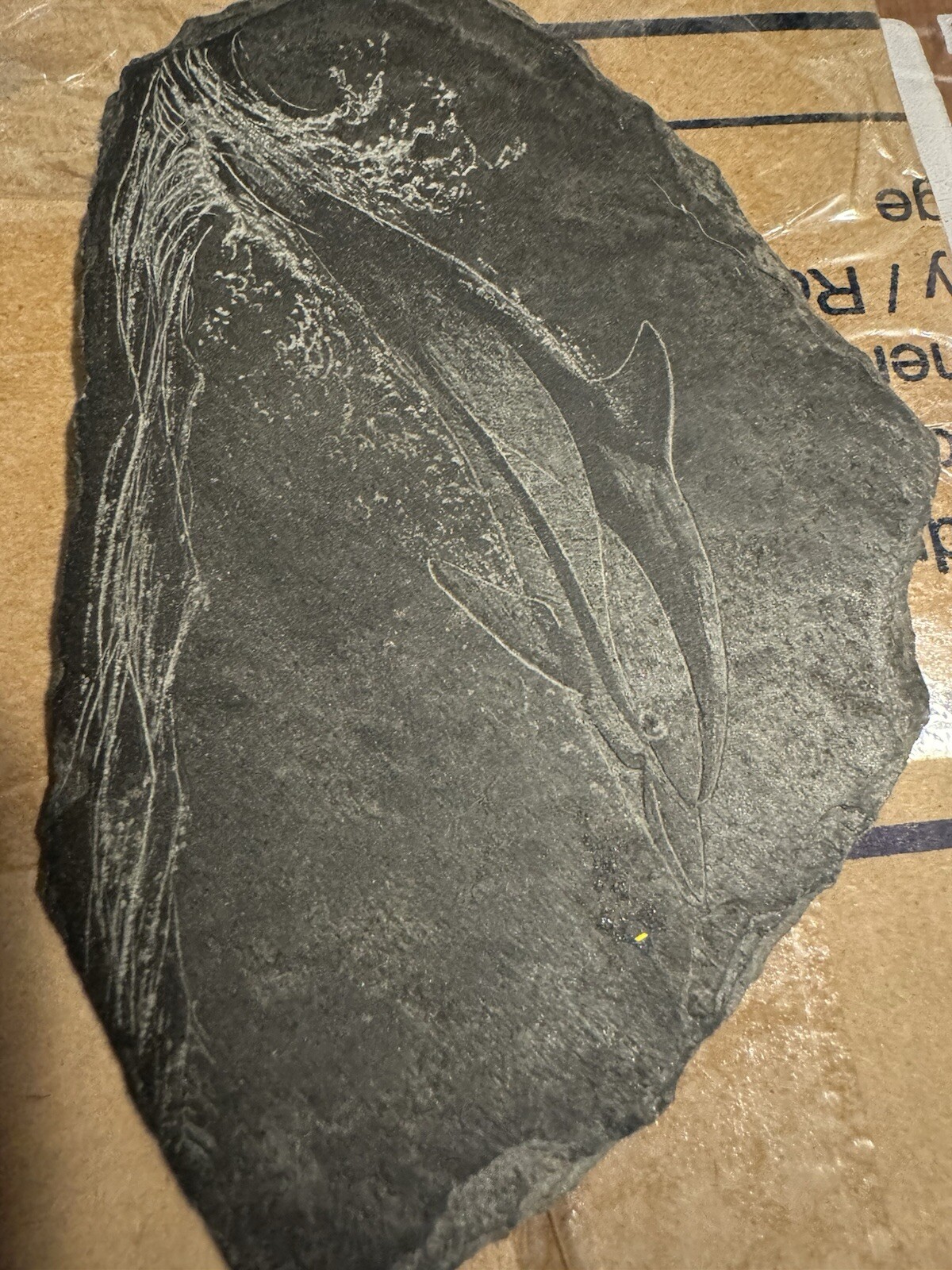 Rare Early Slate Art from Iolani Palace “Dolphin” Engraving – Post-1946 Fire Era Rare Early Slate Art from Iolani Palace “Dolphin” Engraving – Post-1946 Fire Era