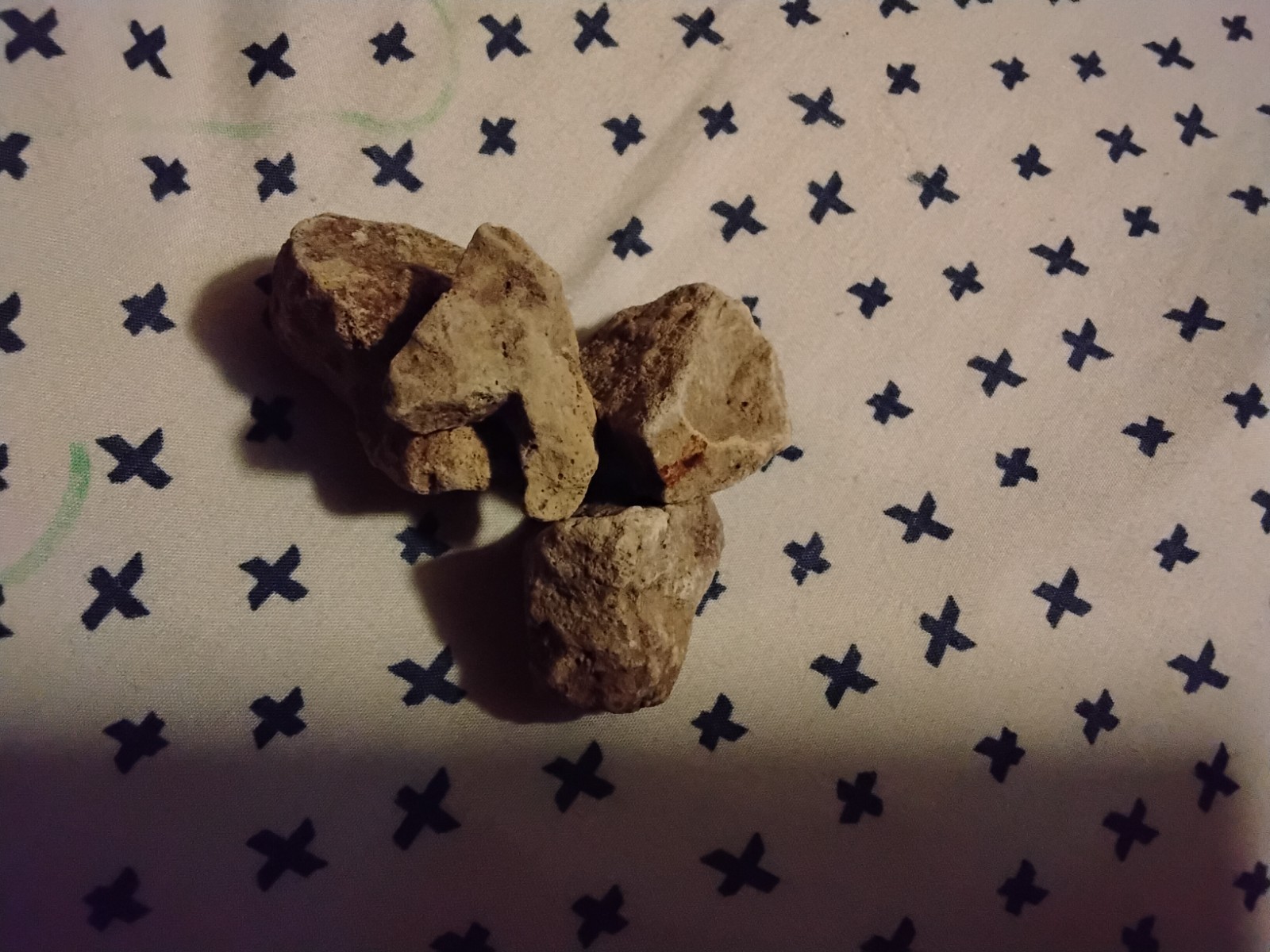 rock collection with rare minerals and shell collection with giant shell